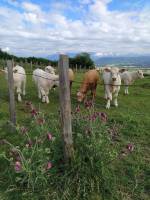 Implanter des bureaux en région Rhône-Alpes